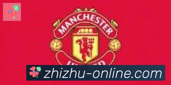 蜘蛛直播合作伙伴